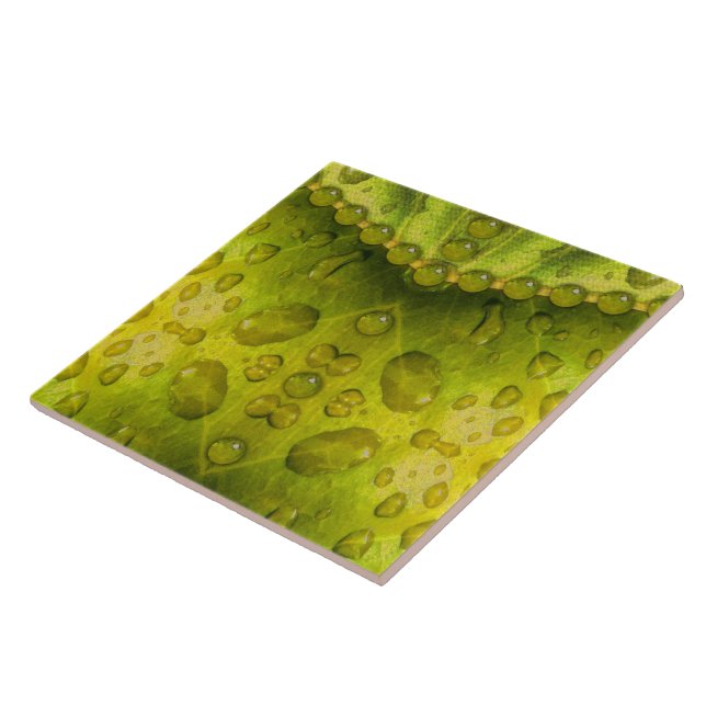 Golden Olive Envelope Tile (Side)