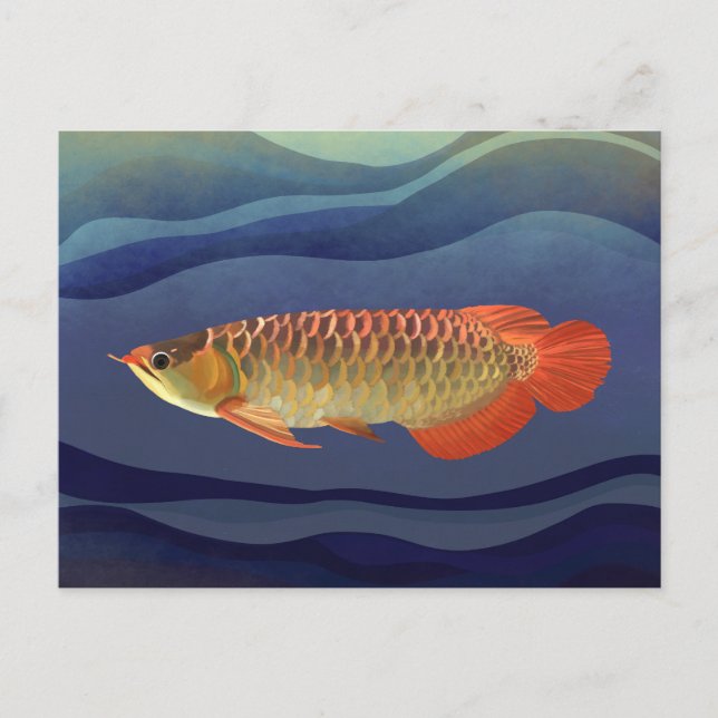 Golden Orange Arowana Fish Exquisite Aquatic Postcard (Front)