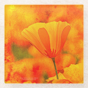 Golden Orange California Poppy "Land Of Orange" Glass Coaster