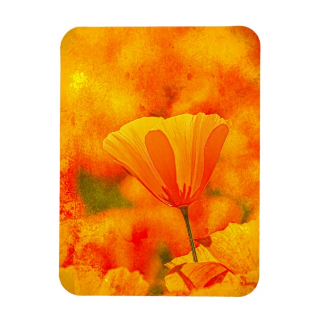 Golden Orange California Poppy "Land Of Orange" Magnet (Vertical)
