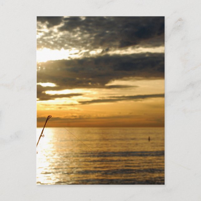 golden pacific sunset postcard (Front)