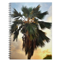 Golden Palm Sky – Tropical Spiral Notebook