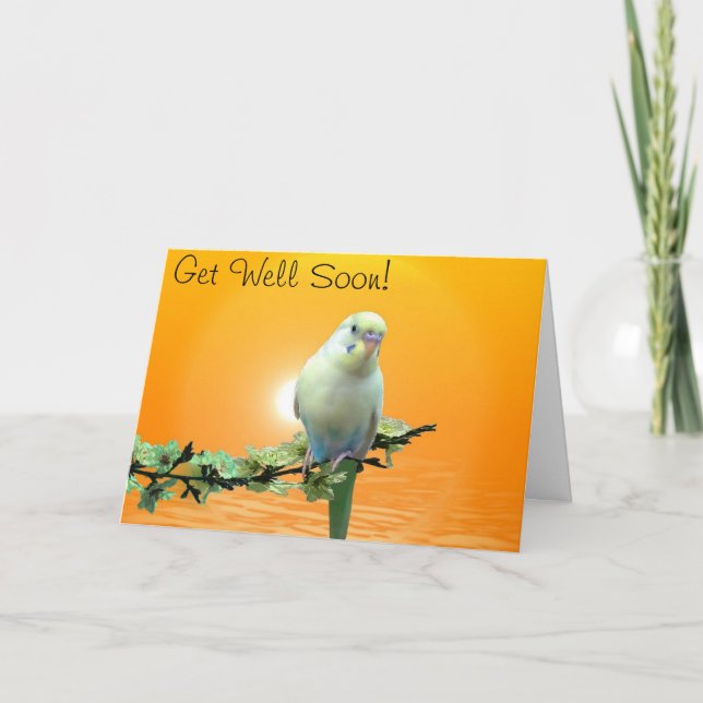 Golden Parakeet Get Well Soon Card (Front)
