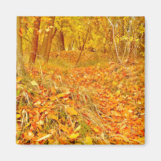 Golden Path Magnet