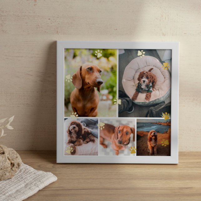 Golden Paw Prints Pet Photo Collage (Creator Uploaded)