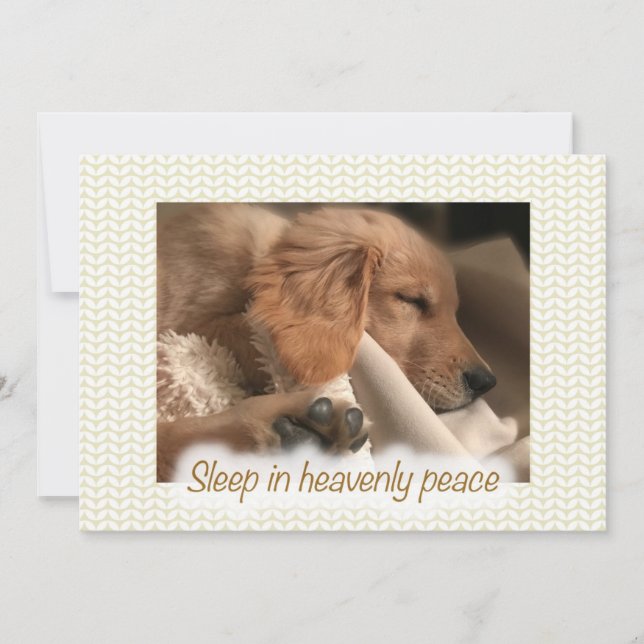 Golden Peaceful Puppy Flat Christmas Card (Front)