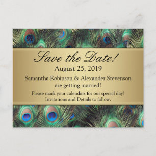 Golden Peacock Feather Background Save the Date Announcement Postcard