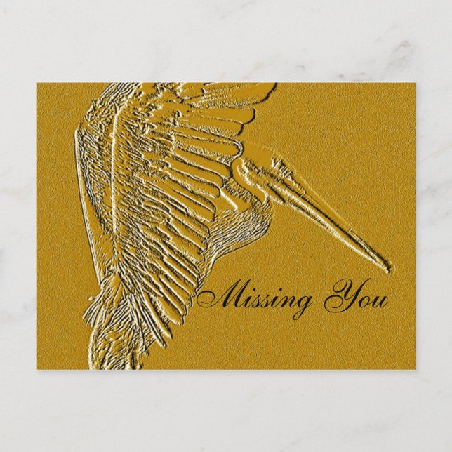 Golden Pelicans_ Postcard (Front)