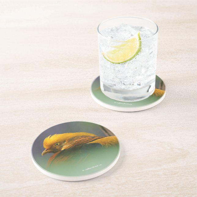 Golden Pheasant Between the Leaves Coaster (Side)