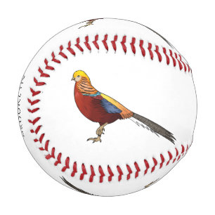 Golden pheasant bird cartoon illustration baseball
