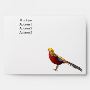 Golden pheasant bird cartoon illustration envelope