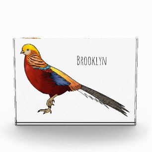 Golden pheasant bird cartoon illustration photo block