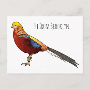 Golden pheasant bird cartoon illustration postcard
