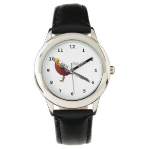 Golden pheasant bird cartoon illustration watch
