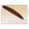 Golden Pheasant Hen Tail
