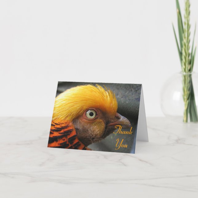 Golden Pheasant Thank You Note Card (Front)