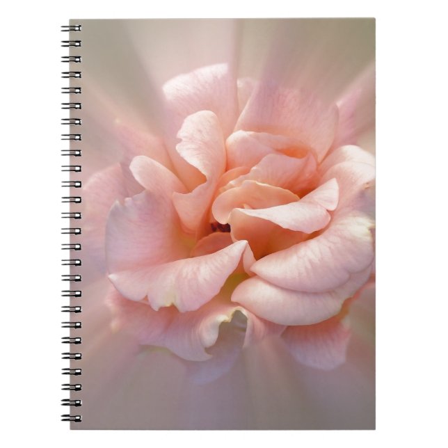 Golden pink notebook (Front)