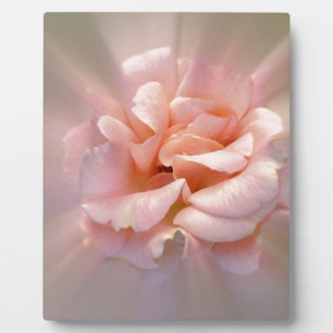 Golden pink plaque
