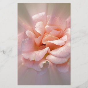 Golden pink stationery