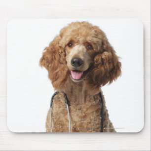 Golden Poodle Dog wearing a stethoscope Mouse Pad