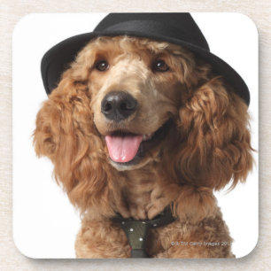 Golden Poodle Dog wearing Hat and Tie Coaster