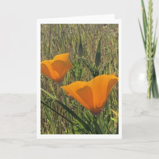 Golden Poppies (Inside Blank) Card