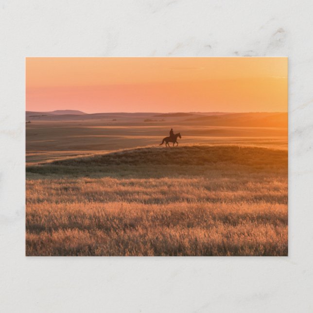 Golden Prairie Party Invitation - Classic Western  Postcard (Front)