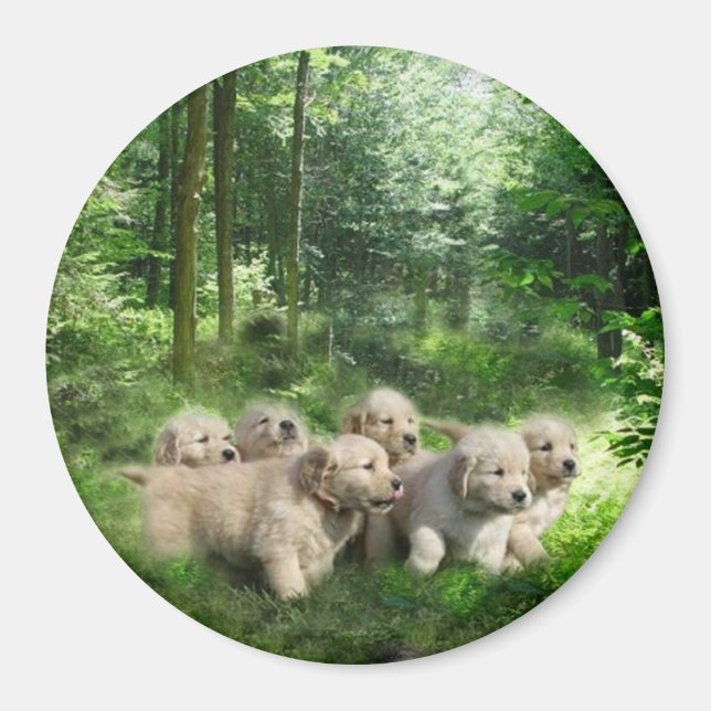 Golden Puppies Magnet (Front)