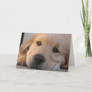 Golden Puppy Miss You Card