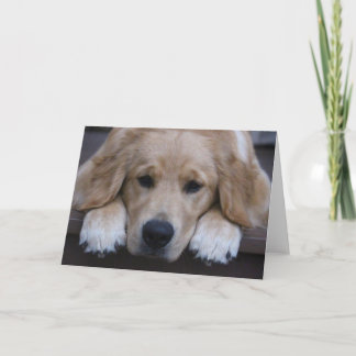 Golden Puppy Paws Greeting Card
