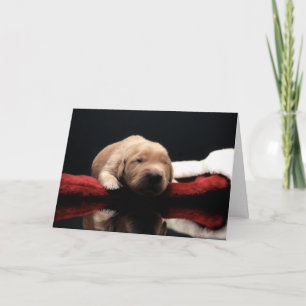 Golden Puppy & Stocking Holiday Card