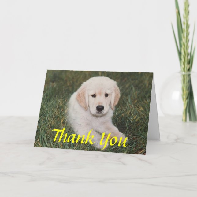 Golden Puppy Thank You Card (Front)