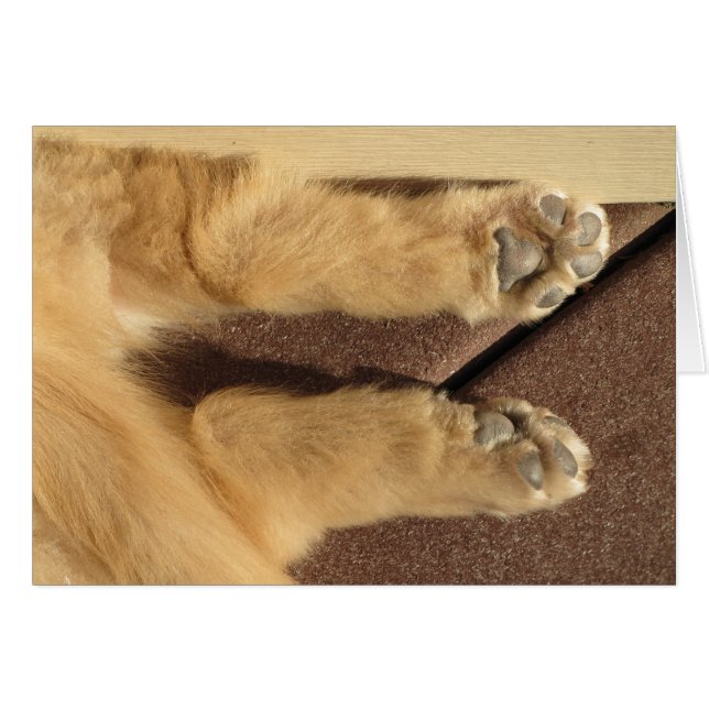 Golden Puppy Two Paws (Front Horizontal)