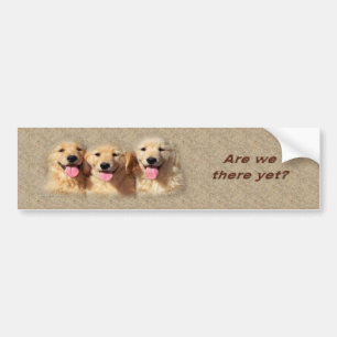 golden_pups3_bumpersticker bumper sticker
