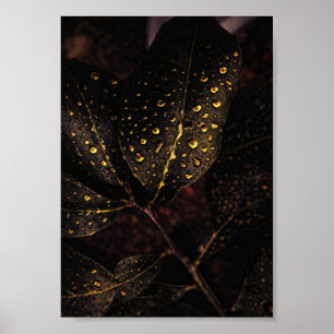 Golden Rain Glow – Natural Elegance Poster