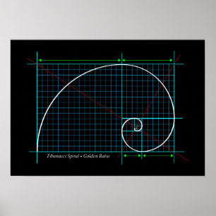 Golden Ratio, Fibonacci Spiral, Colour Drawing Poster