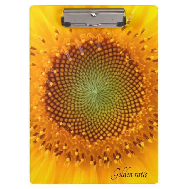 Golden Ratio, sunflower clipboard (Front)