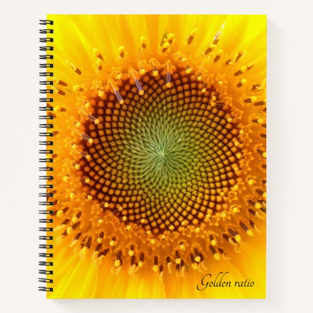 Golden Ratio sunflower spiral notebook (Front)