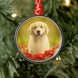 Golden Retirever in Red Flowers Metal Ornament