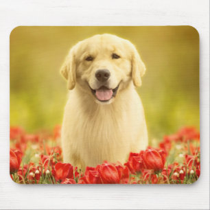 Golden Retirever in Red Flowers Mouse Pad