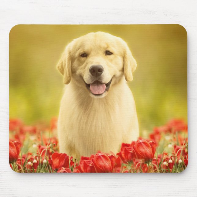 Golden Retirever in Red Flowers Mouse Pad (Front)