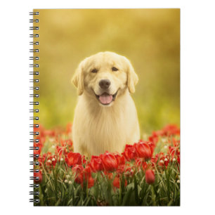 Golden Retirever in Red Flowers Notebook