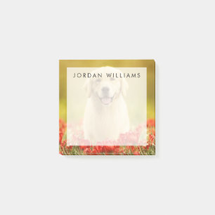 Golden Retirever in Red Flowers Post-it Notes