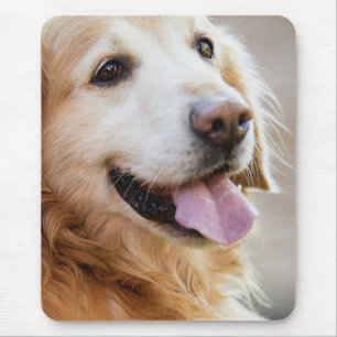 Golden retiver, Dog, Happy dog Mouse Pad