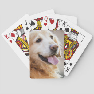 Golden retiver, Dog, Happy dog Playing Cards