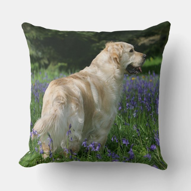 Golden Retreiver in Flowers Cushion (Front)