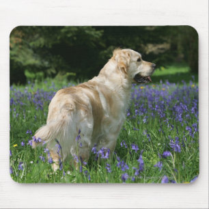 Golden Retreiver in Flowers Mouse Pad