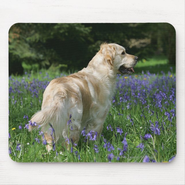 Golden Retreiver in Flowers Mouse Pad (Front)