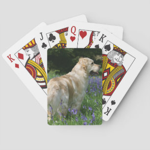 Golden Retreiver in Flowers Playing Cards