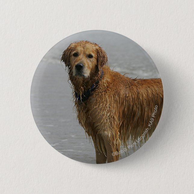 Golden Retreiver in the Sea 6 Cm Round Badge (Front)